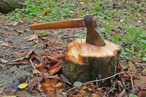 Sharpen Your Axe: A Motivational Tale