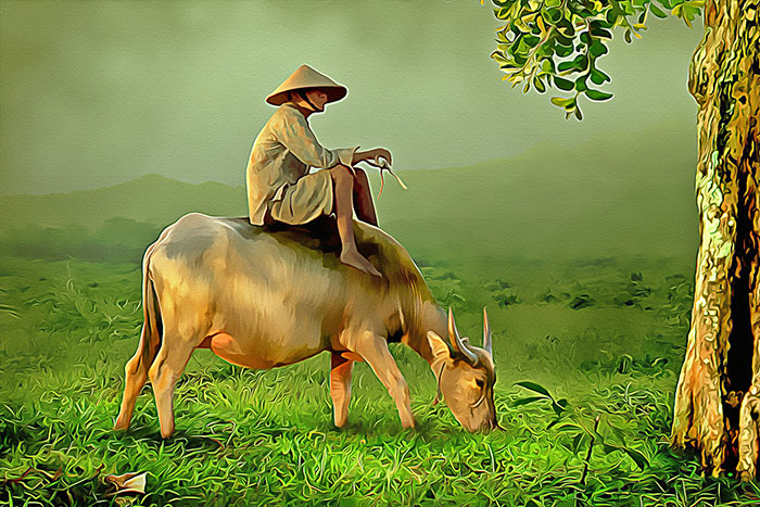 A farmer with a cow